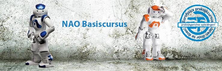 NAO basiscursus heading